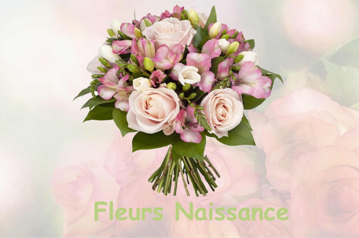 fleurs naissance NEUVILLEY