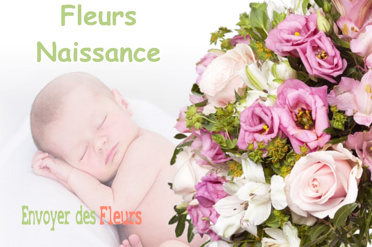 lIVRAISON FLEURS NAISSANCE à NEUVILLEY